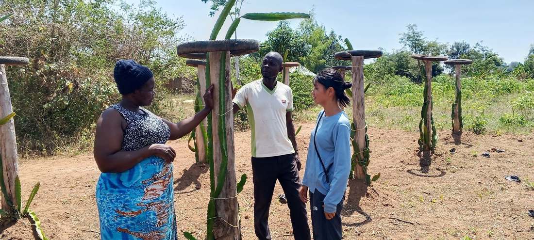 Discussing dragon fruit cultivation with a local farmer