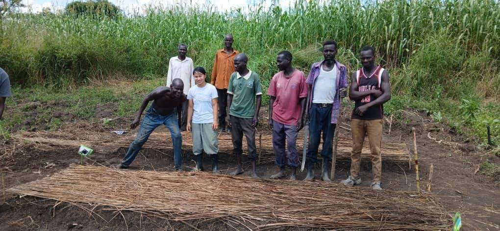A group project making reed mats
